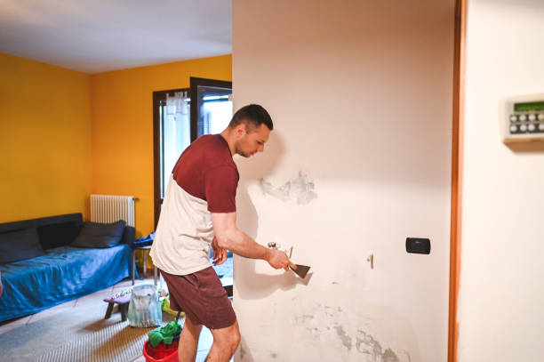 Best Professional Mold Removal  in Deer Park, TX